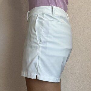 Nike Dri-fit Golf Shorts (Size 2)